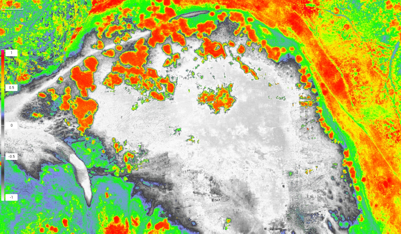 Multispectral crop health mapping
